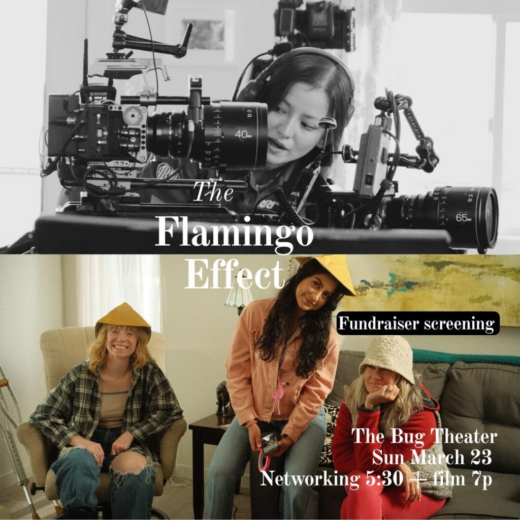 The Flamingo Effect screening poster